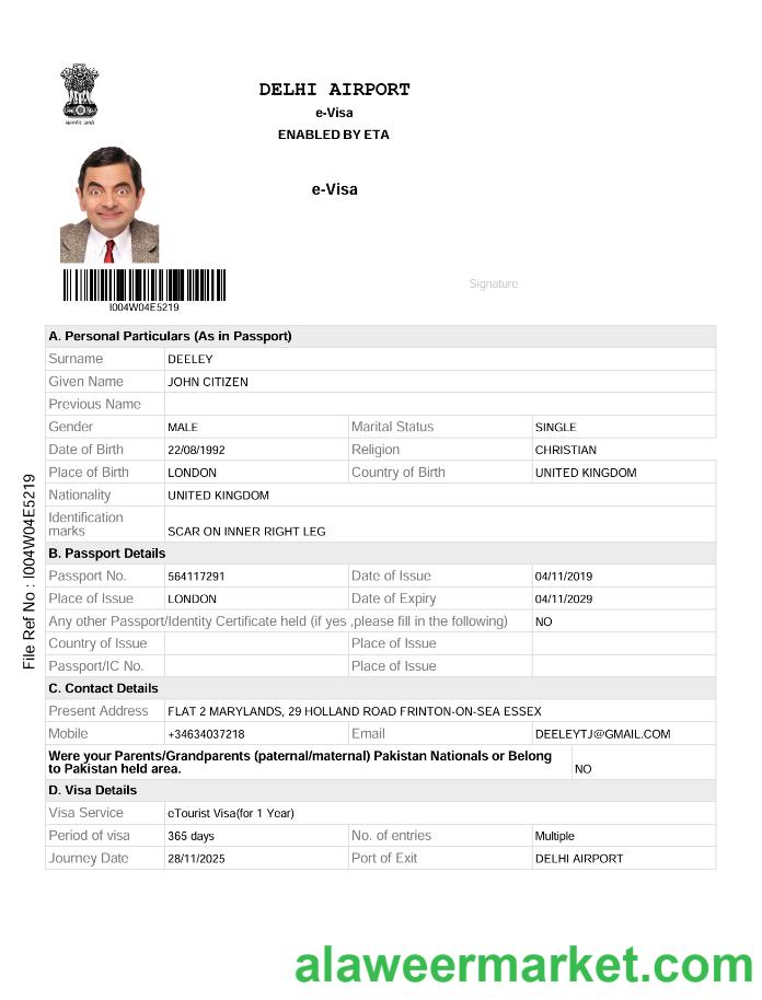 India e-visa template in Word and PDF formats, version 2